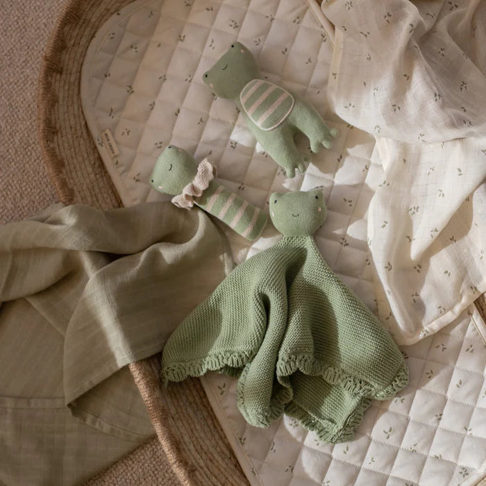 Cuddle Cloth - Frog