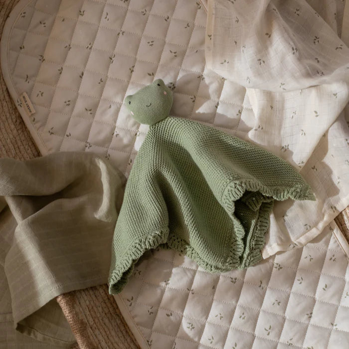 Cuddle Cloth - Frog