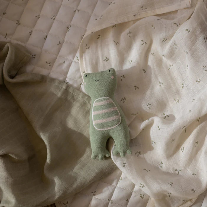 Little Hands Toy - Frog