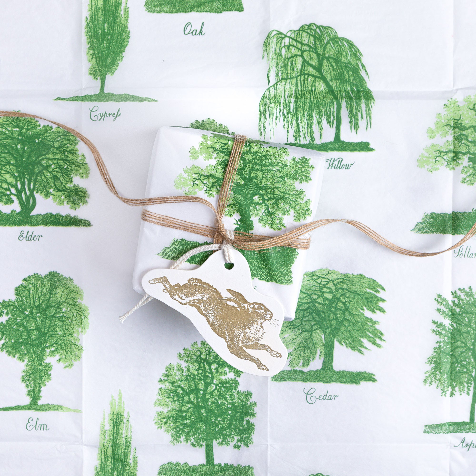 Gift wrapped in white paper featuring a green tree design, tied with twine, and adorned with a gold hare gift tag.