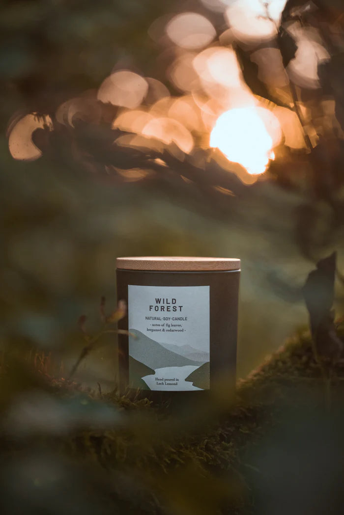 Dark brown cylindrical Wild Forest natural soy candle with a light wood lid; label features a landscape illustration.