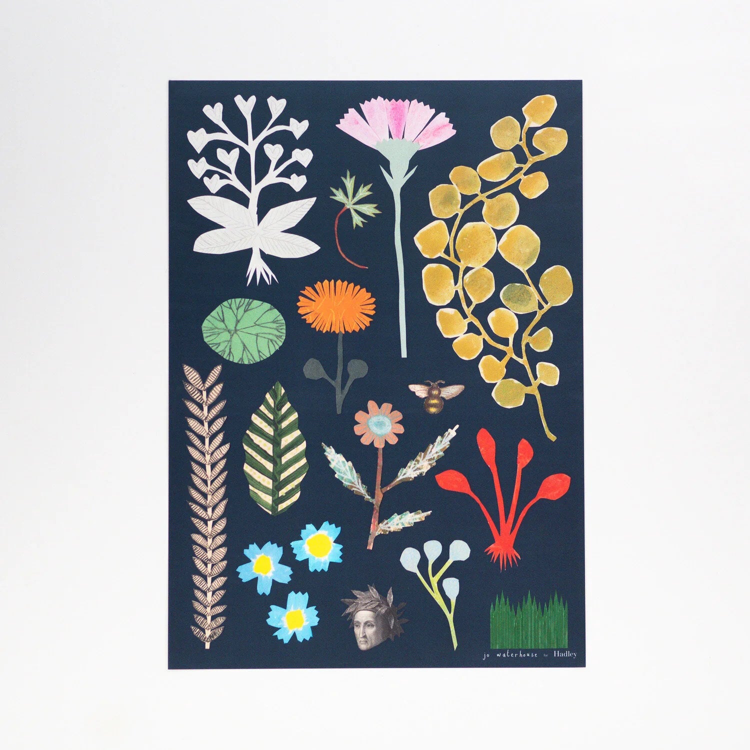 Illustration of various plants and flowers on a dark blue background