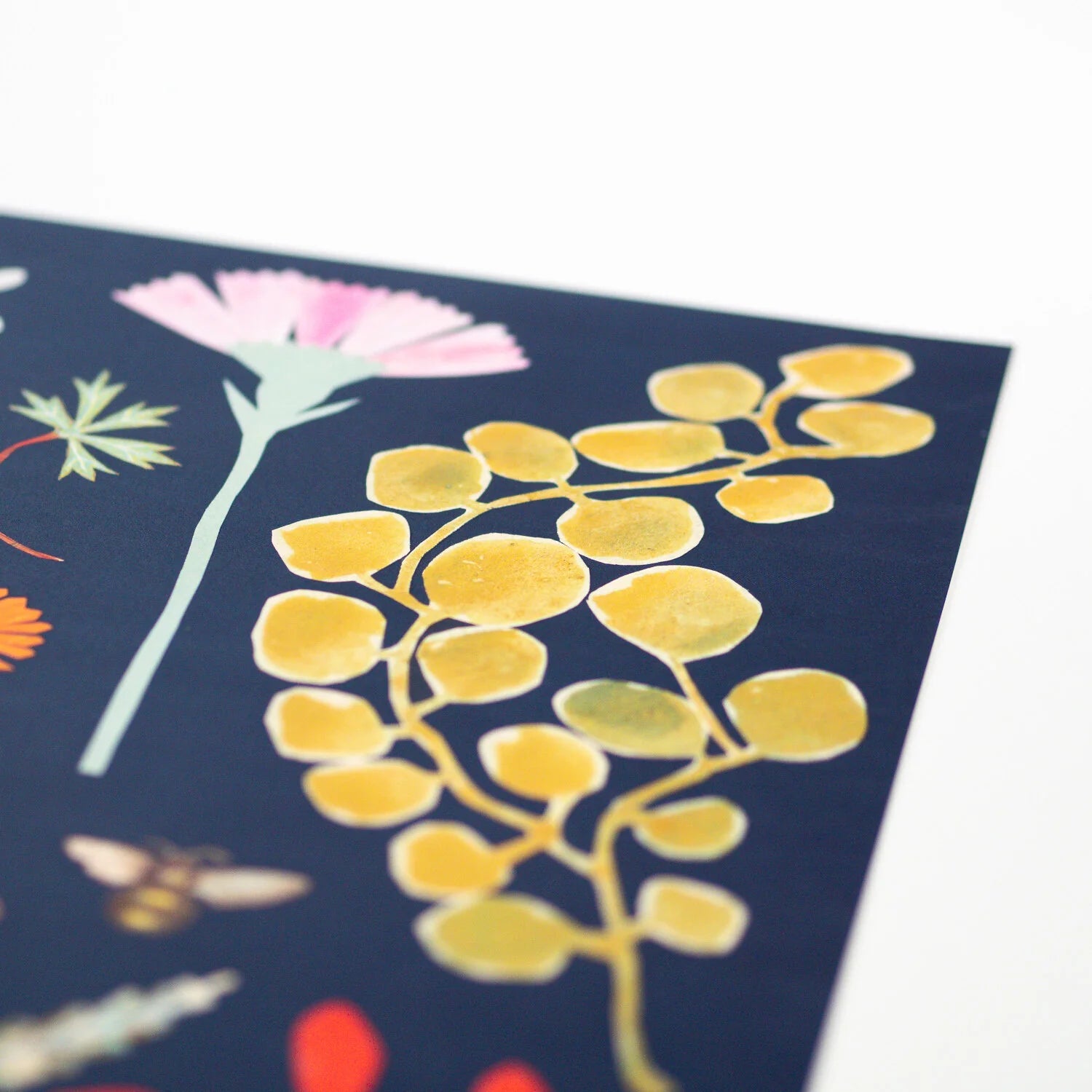 A3 Botanical Print
