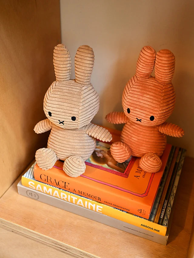 Two plush toys on top of books on a wooden shelf
