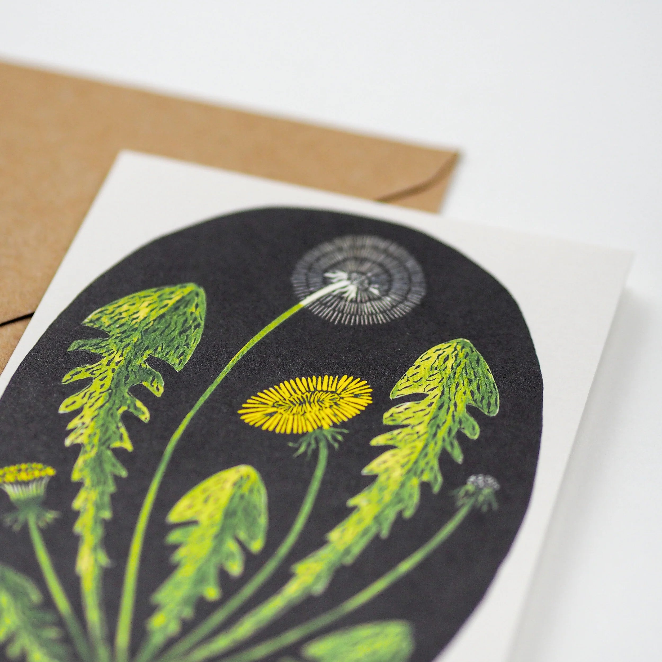 Greeting card featuring a botanical illustration of dandelions in various stages of bloom, set against a dark background