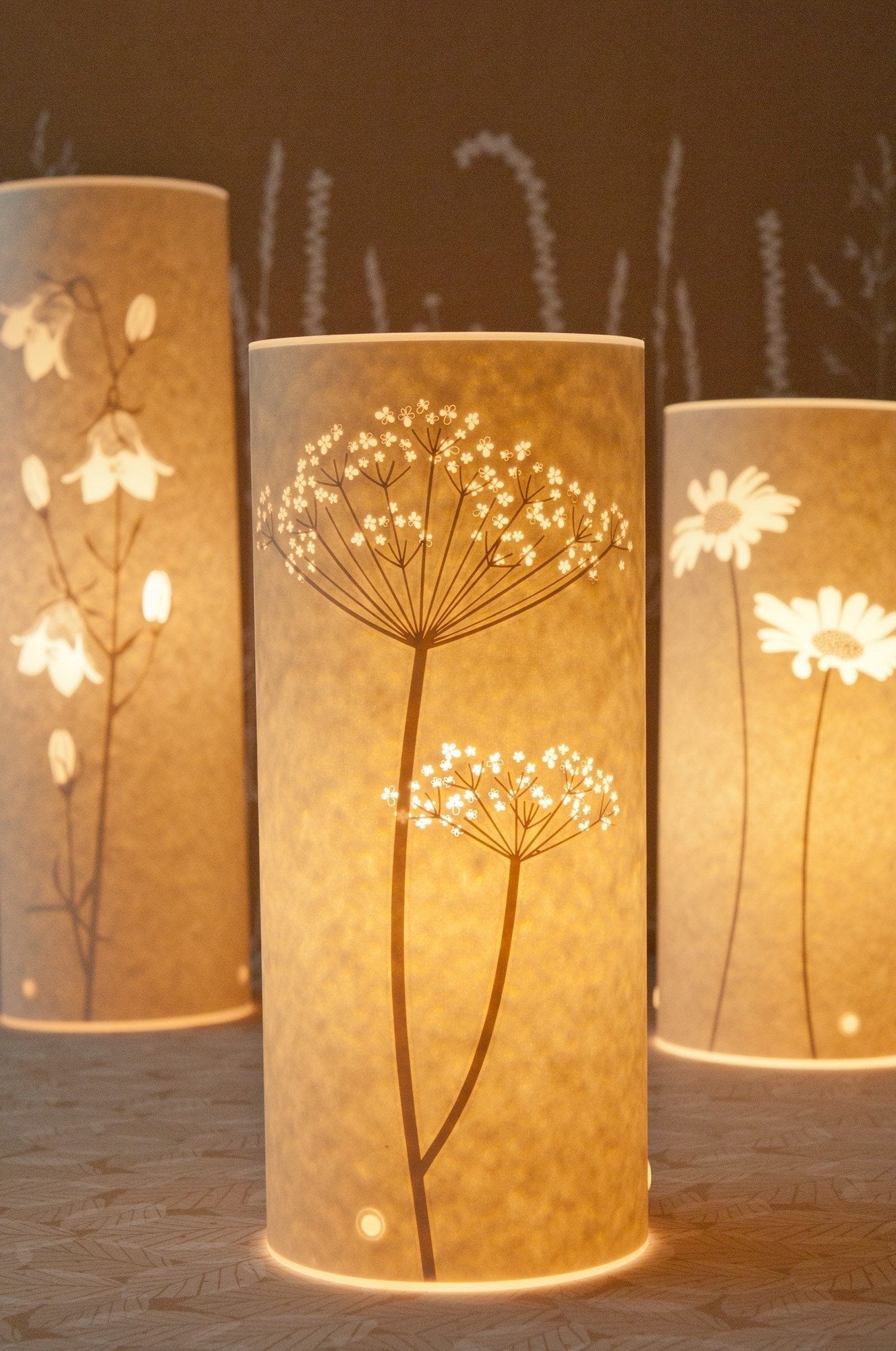 Illuminated cylindrical lampshade with a delicate floral design; the central motif features a cow parsley-like plant.