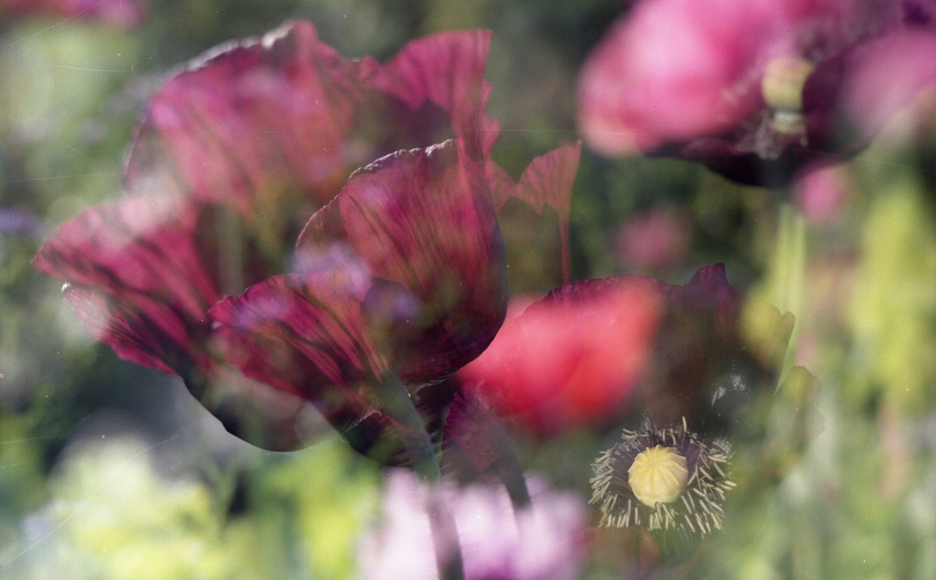 Gunnie for Tait & Style