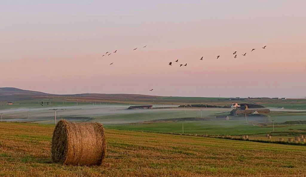 Stenness Poetry Day