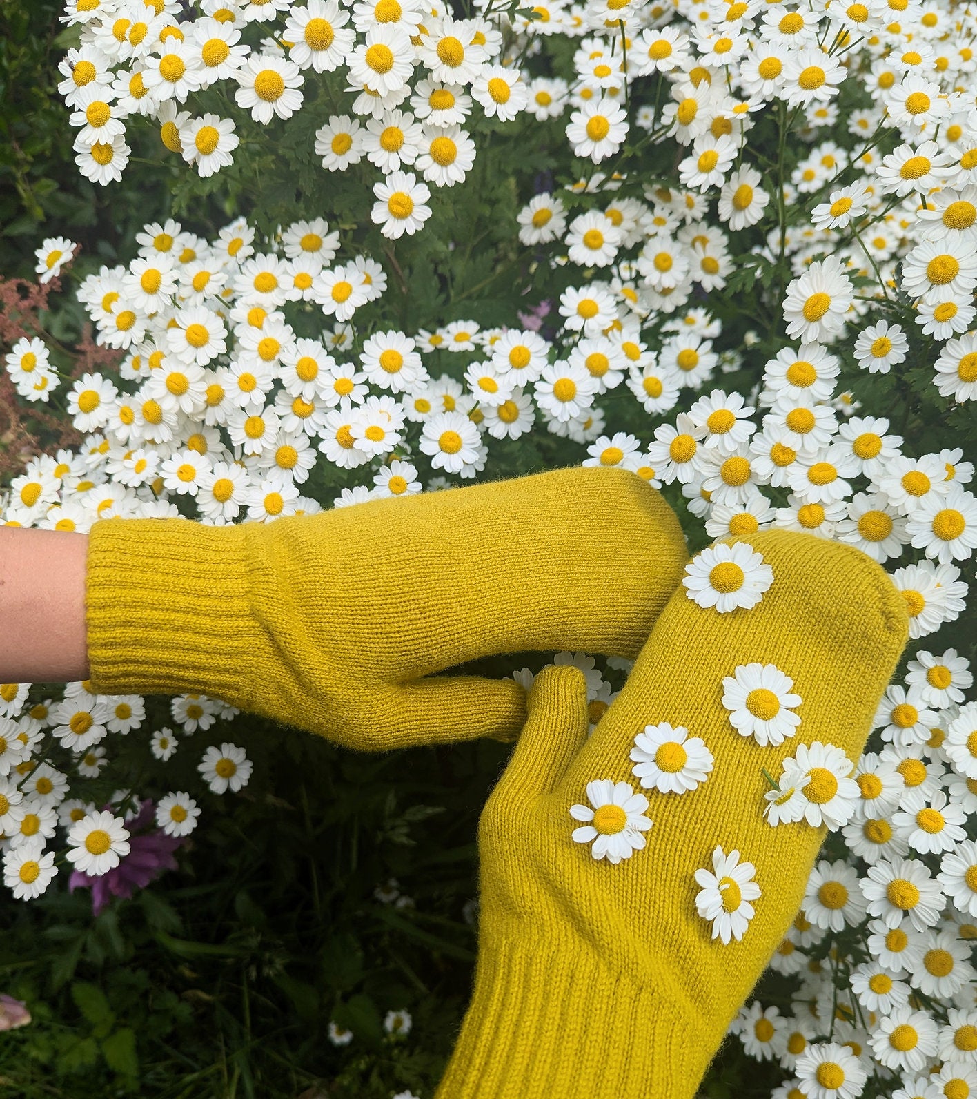 Lambswool Mittens - Mustard
