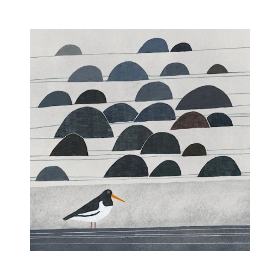 Greeting Card - Stony Beach