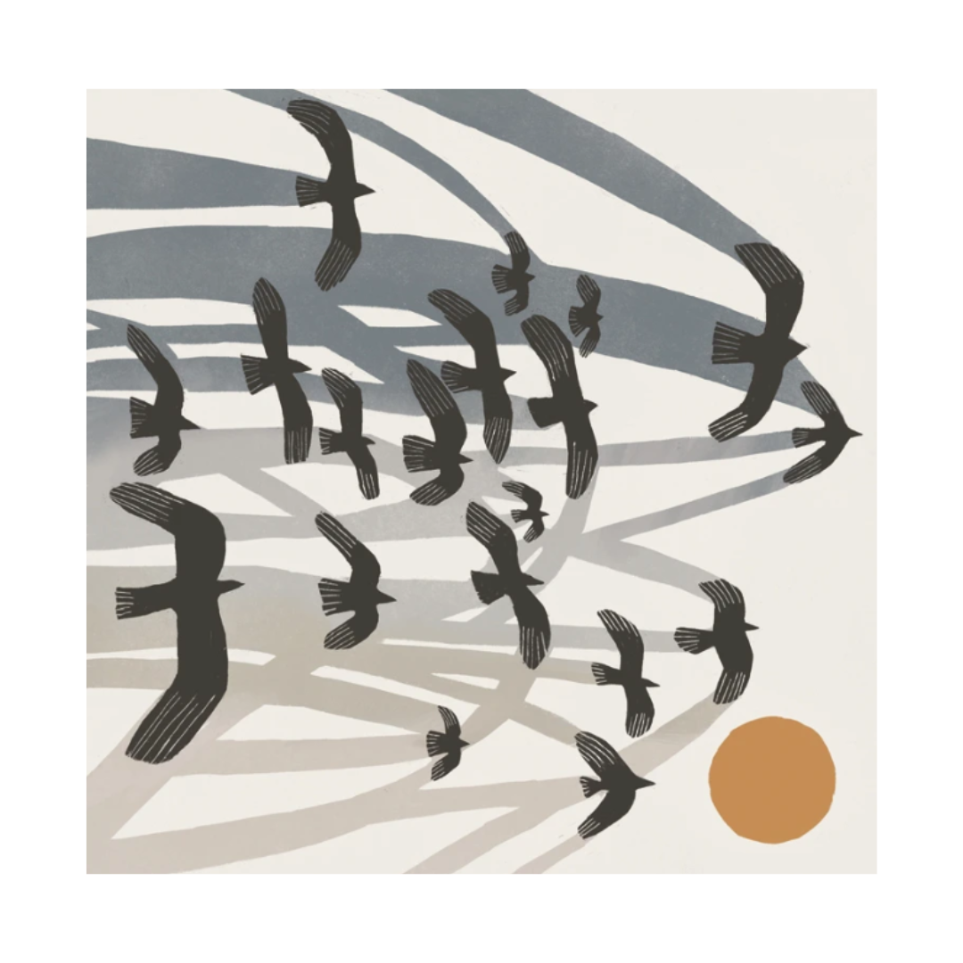 Greeting Card - Flights