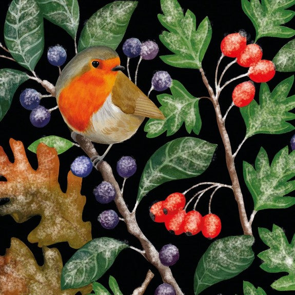 European robin perched on a branch with red and dark berries, surrounded by autumn leaves against a black background.