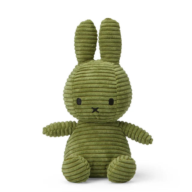 Green plush bunny toy on a white background