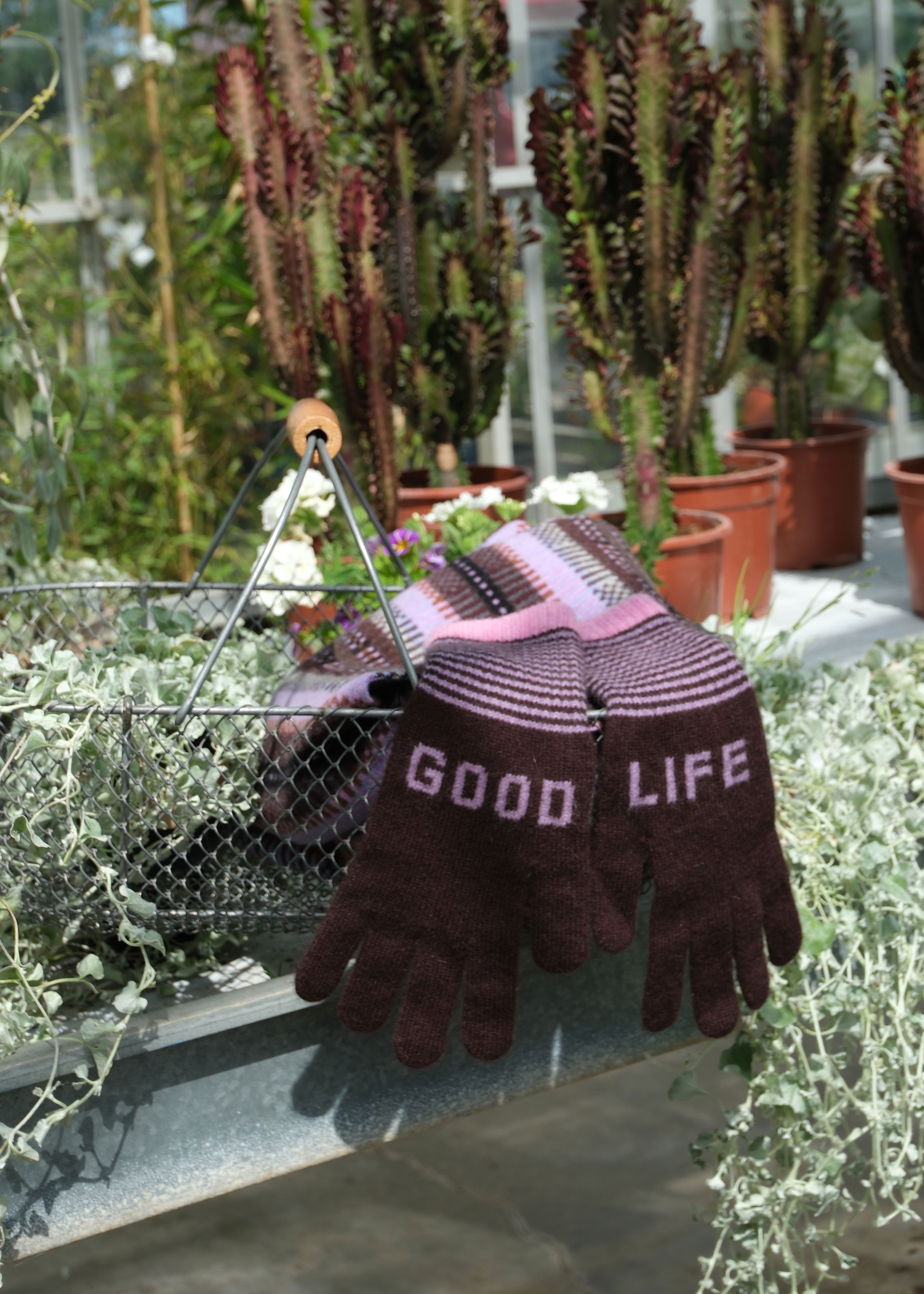 A pair of knit gloves in dark brown and pink striped pattern, featuring the words 'GOOD LIFE' knitted on the back of the hands, resting on a wire planter in a garden setting.