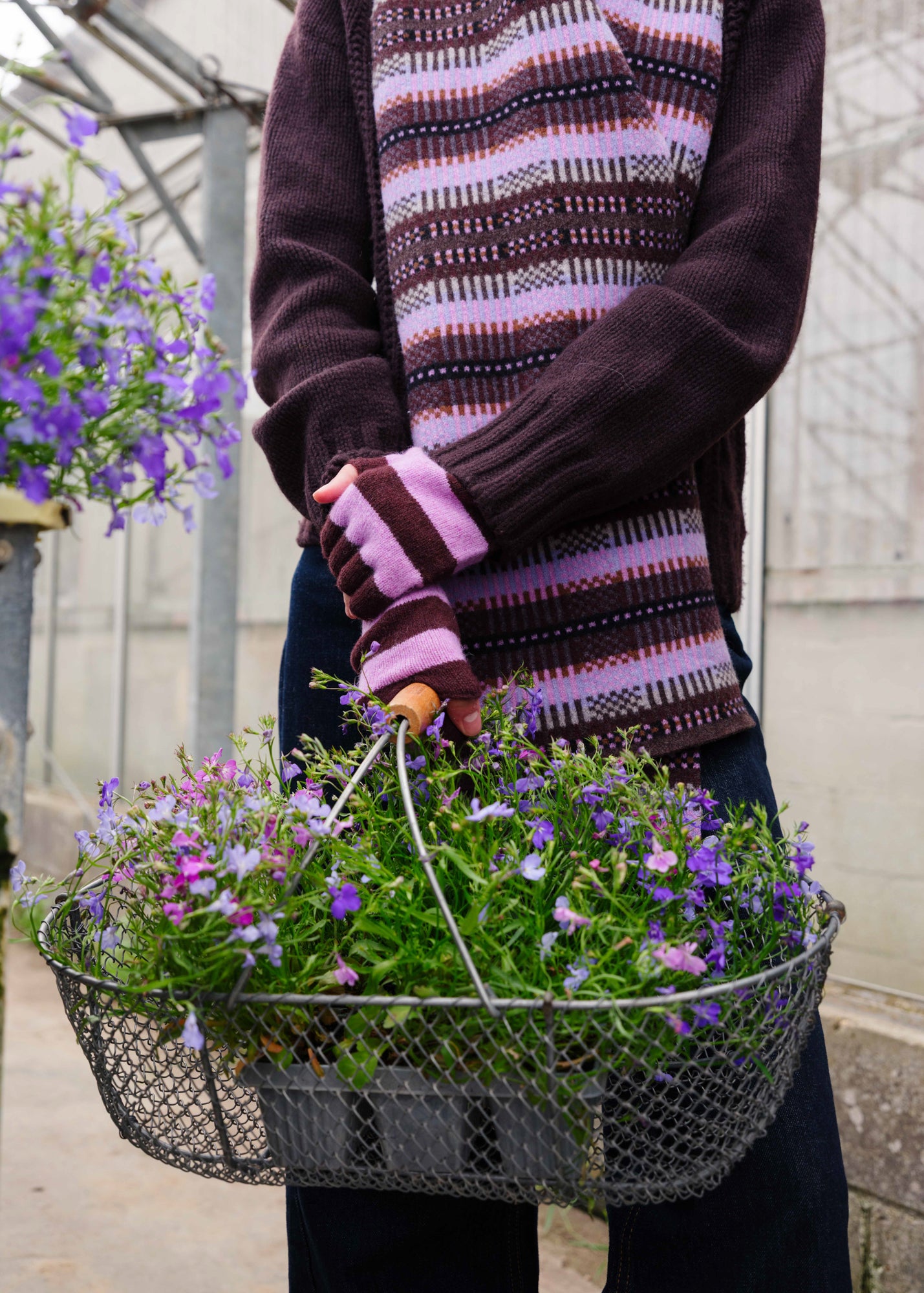 A person wearing a dark brown and pink striped knit sweater and matching striped gloves holds a wire basket filled with green plants and purple flowers in a greenhouse setting.