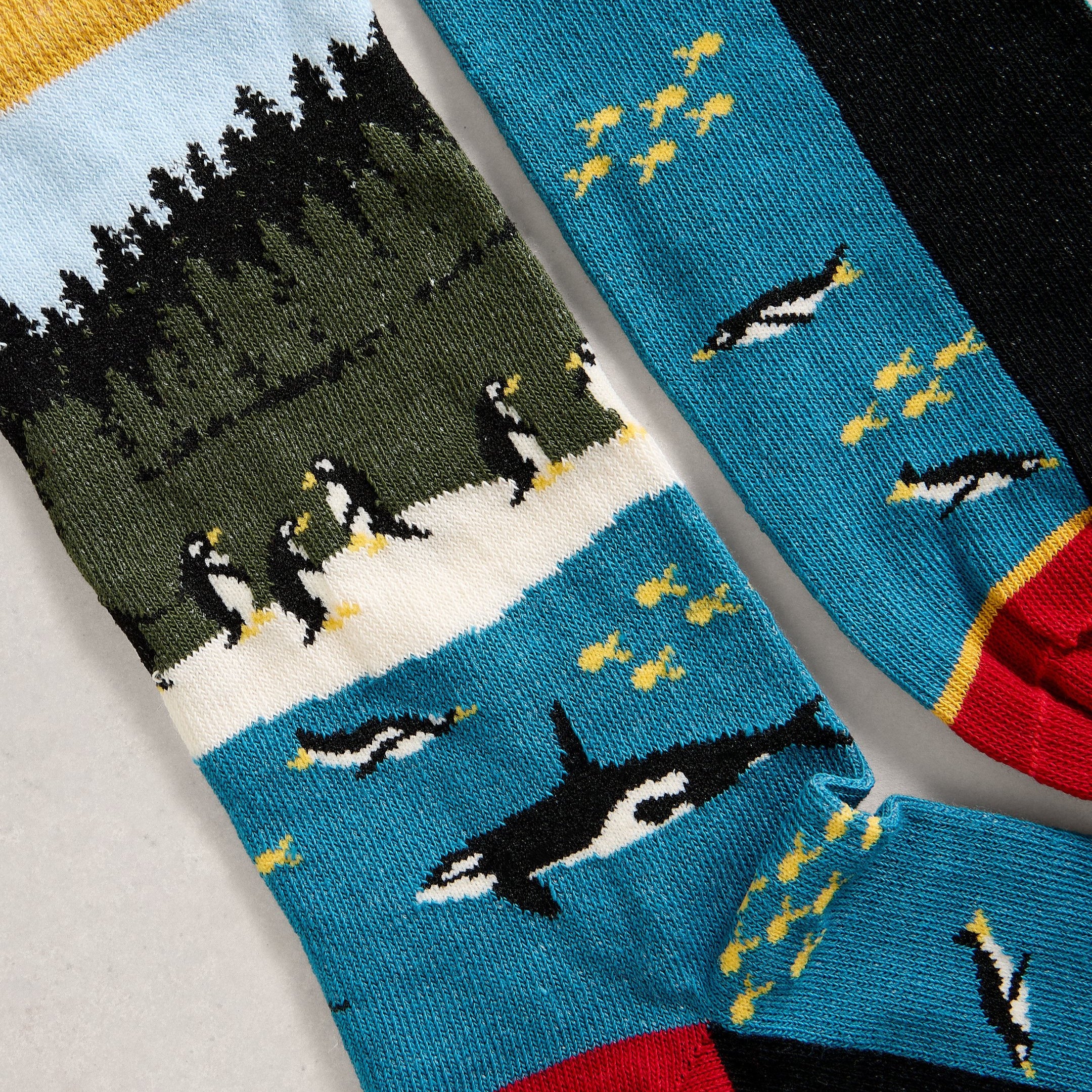 Whale & Penguins Ankle Socks - Blue Multi