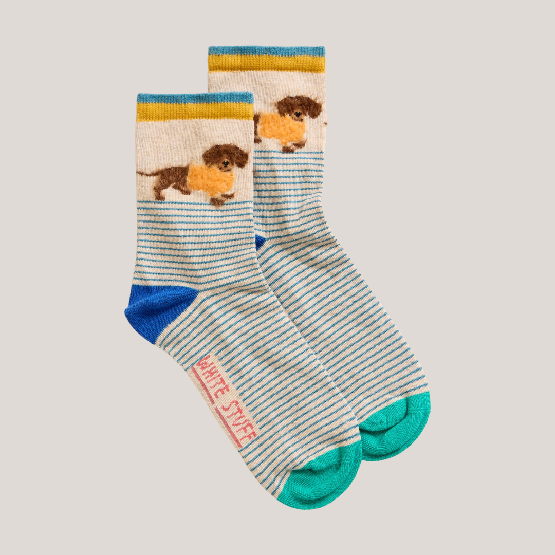 Pair of cream ankle socks with blue stripes, dachshund print, and teal cuffs. "White Stuff" logo visible.