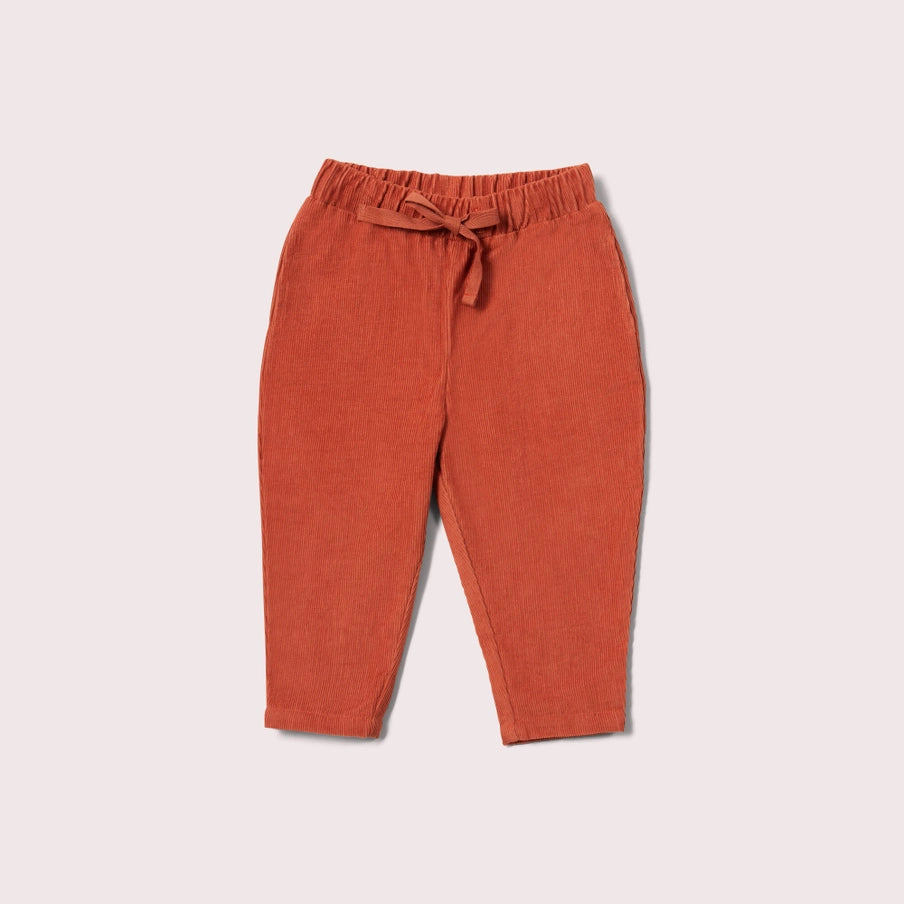 kids corduroy trousers