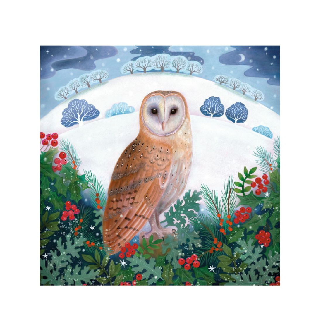 Christmas Cards Pack of 8 - Winter Owl