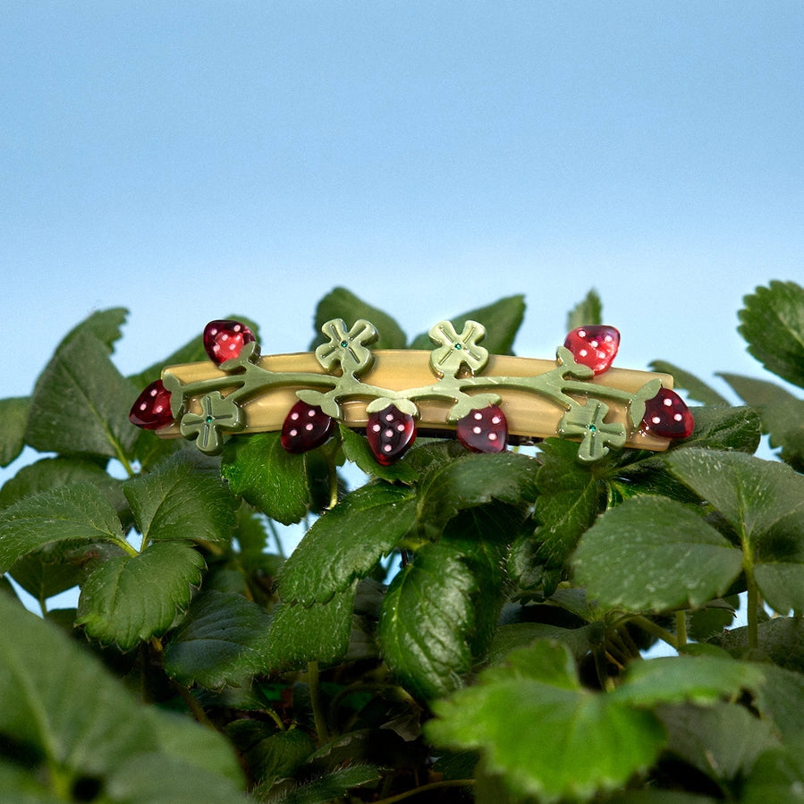Wooden headband with red berries and green leaves on a plant against a blue sky.