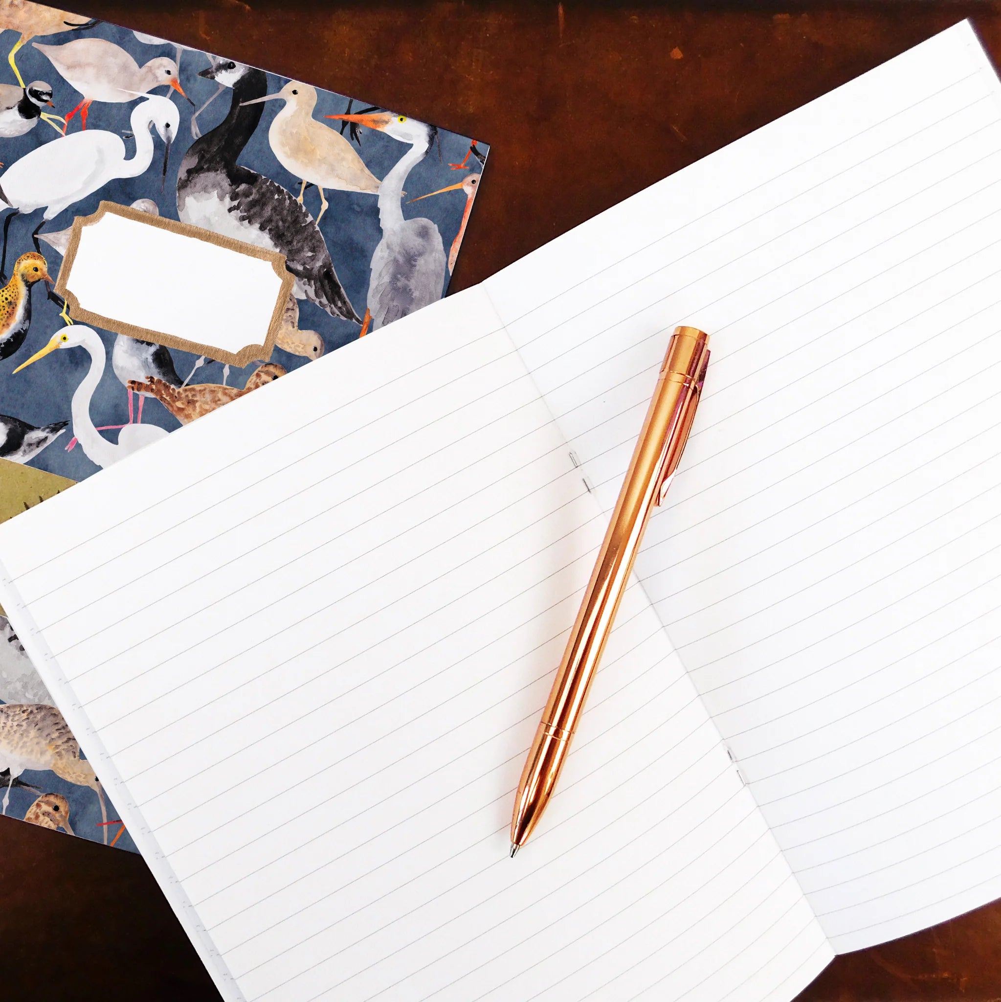 A5 Lined Notebook - Aestes Wetland Birds