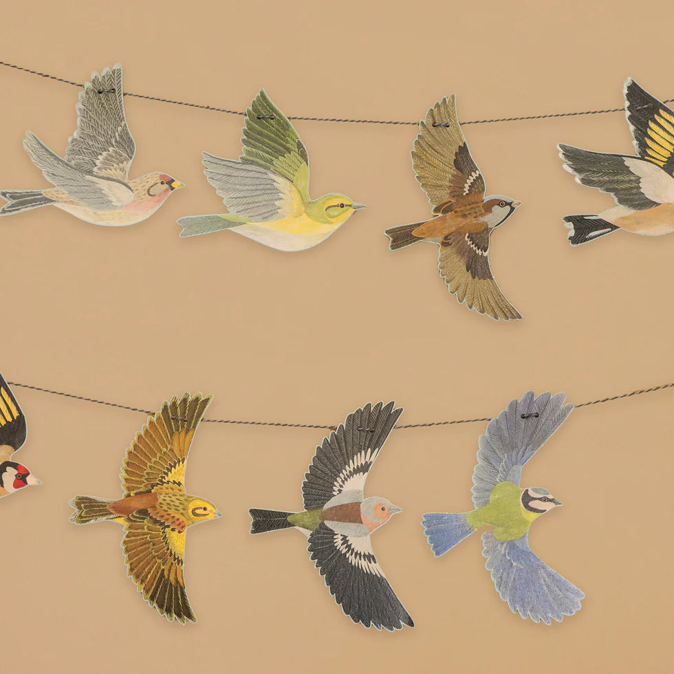Illustrations of various birds on a beige background