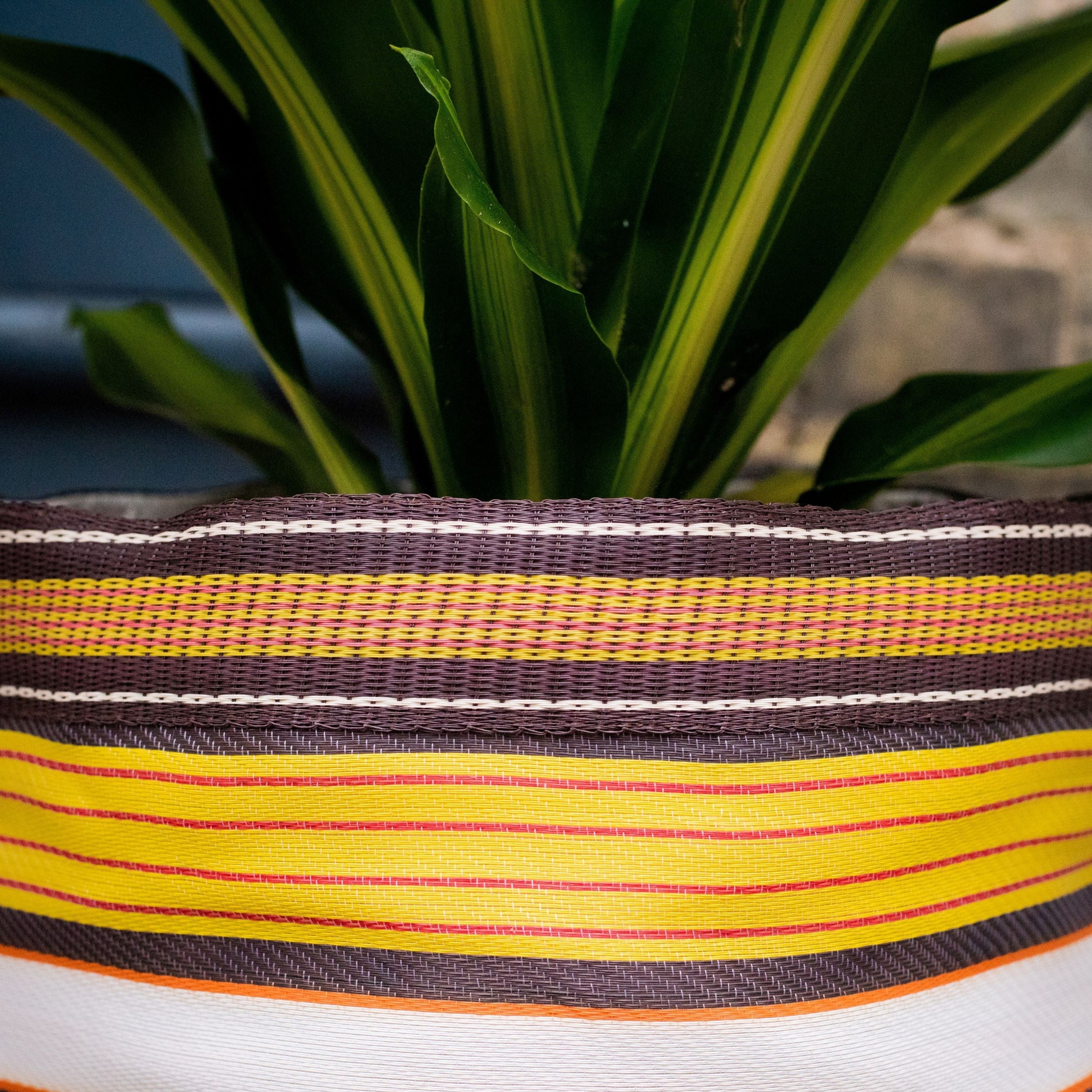 Striped woven planter with a houseplant.  The planter features bands of yellow, red, brown, and white.