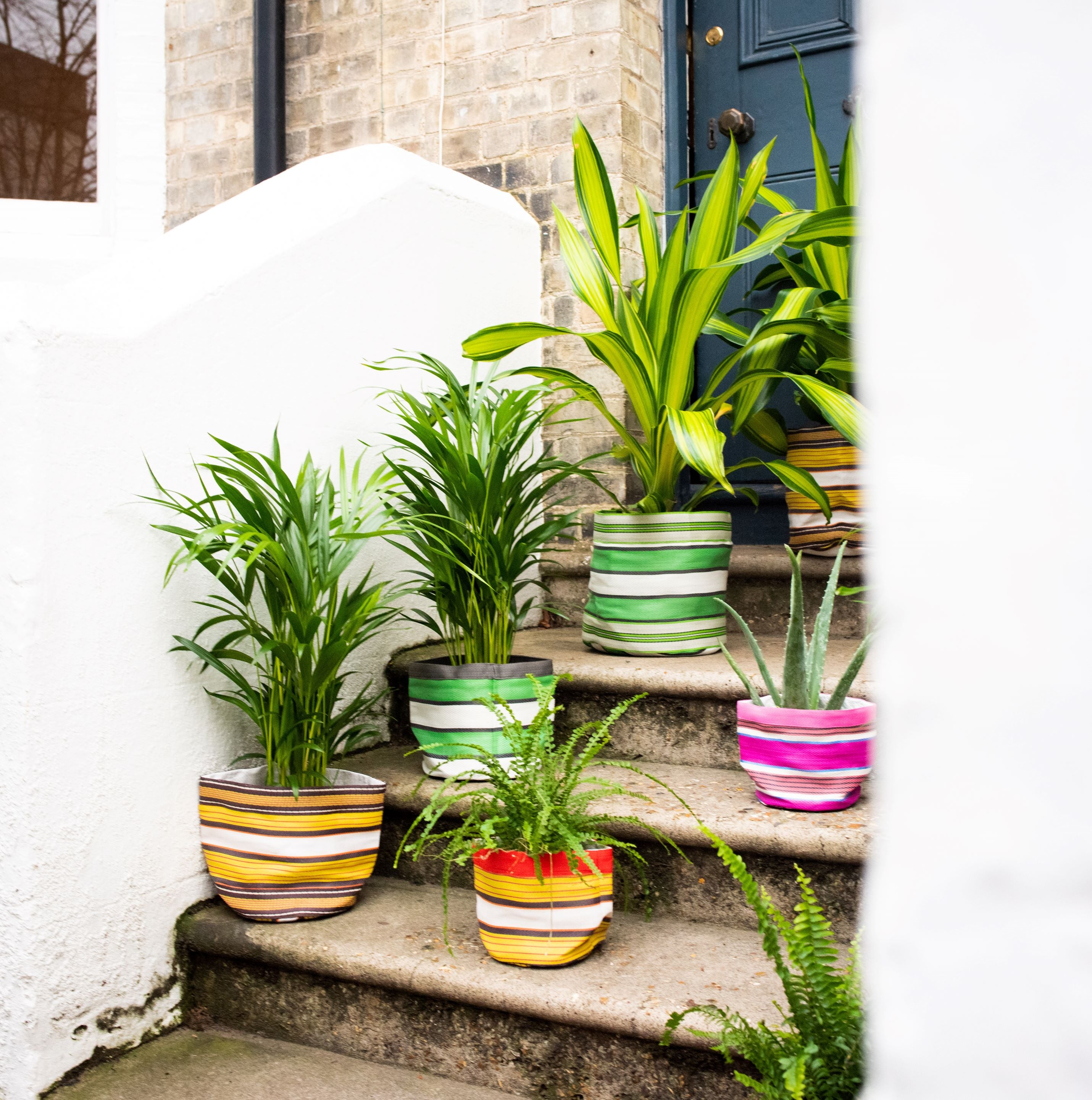 Houseplants in striped fabric pots on a stone staircase.  The pots are various colors and patterns.