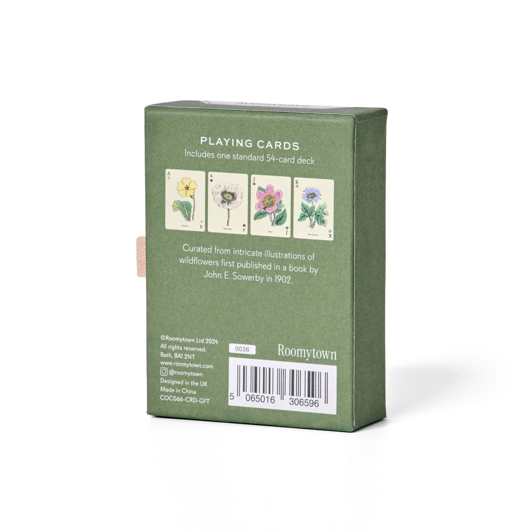 Green box of playing cards with illustrations on a white background