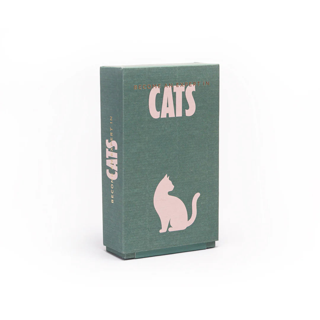 Book or notebook with a cat illustration on a green cover