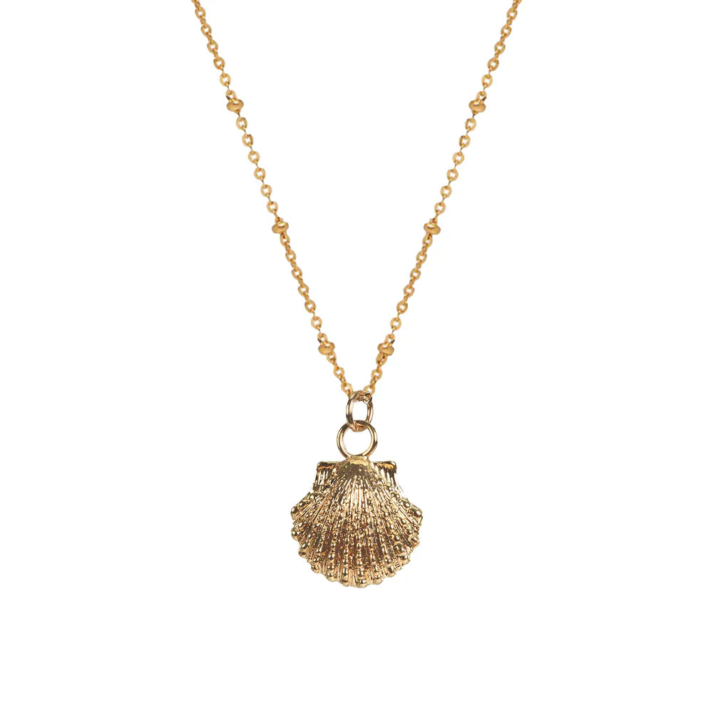 Compostella Shell Pendant Nceklace