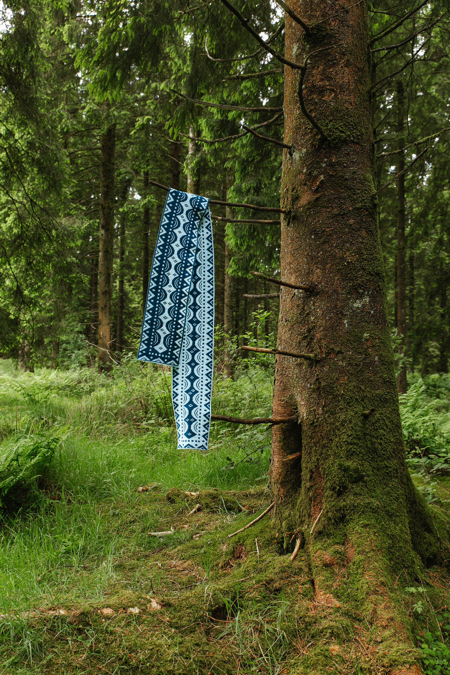 Long teal and white patterned scarf hanging from a tree branch in a forest.