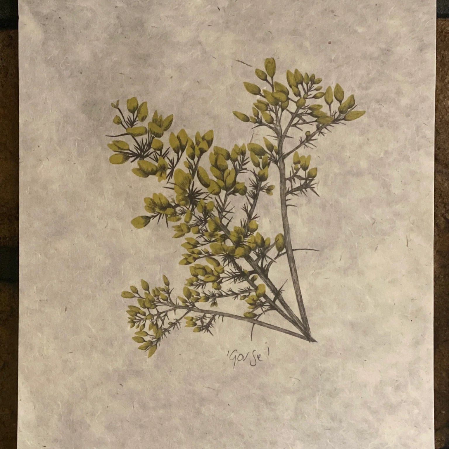 Gorse Small Lamp