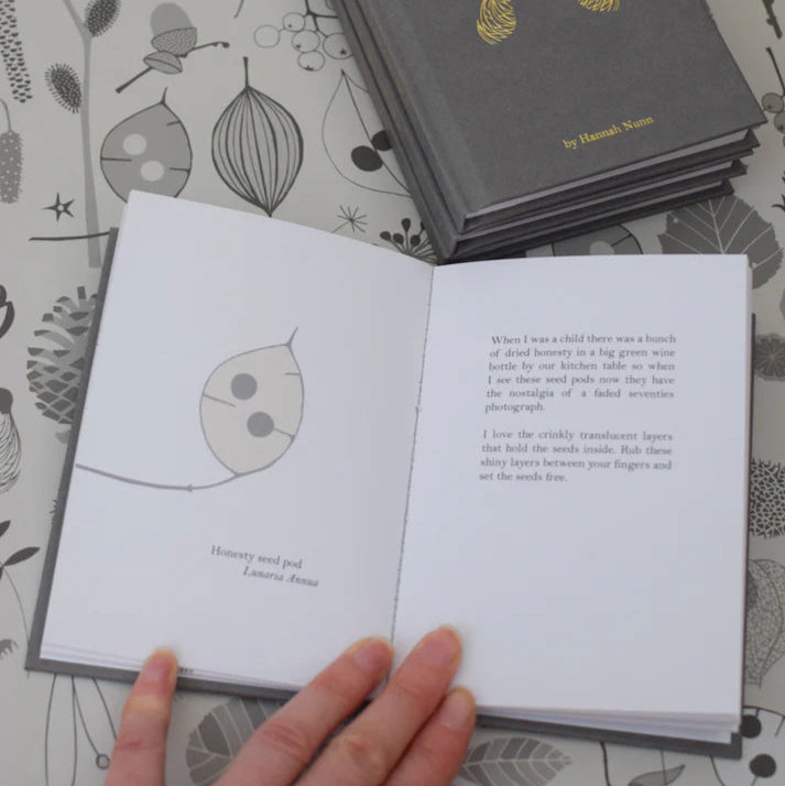 Open book showcasing a botanical illustration of an honesty seed pod, with accompanying text describing the plant and its