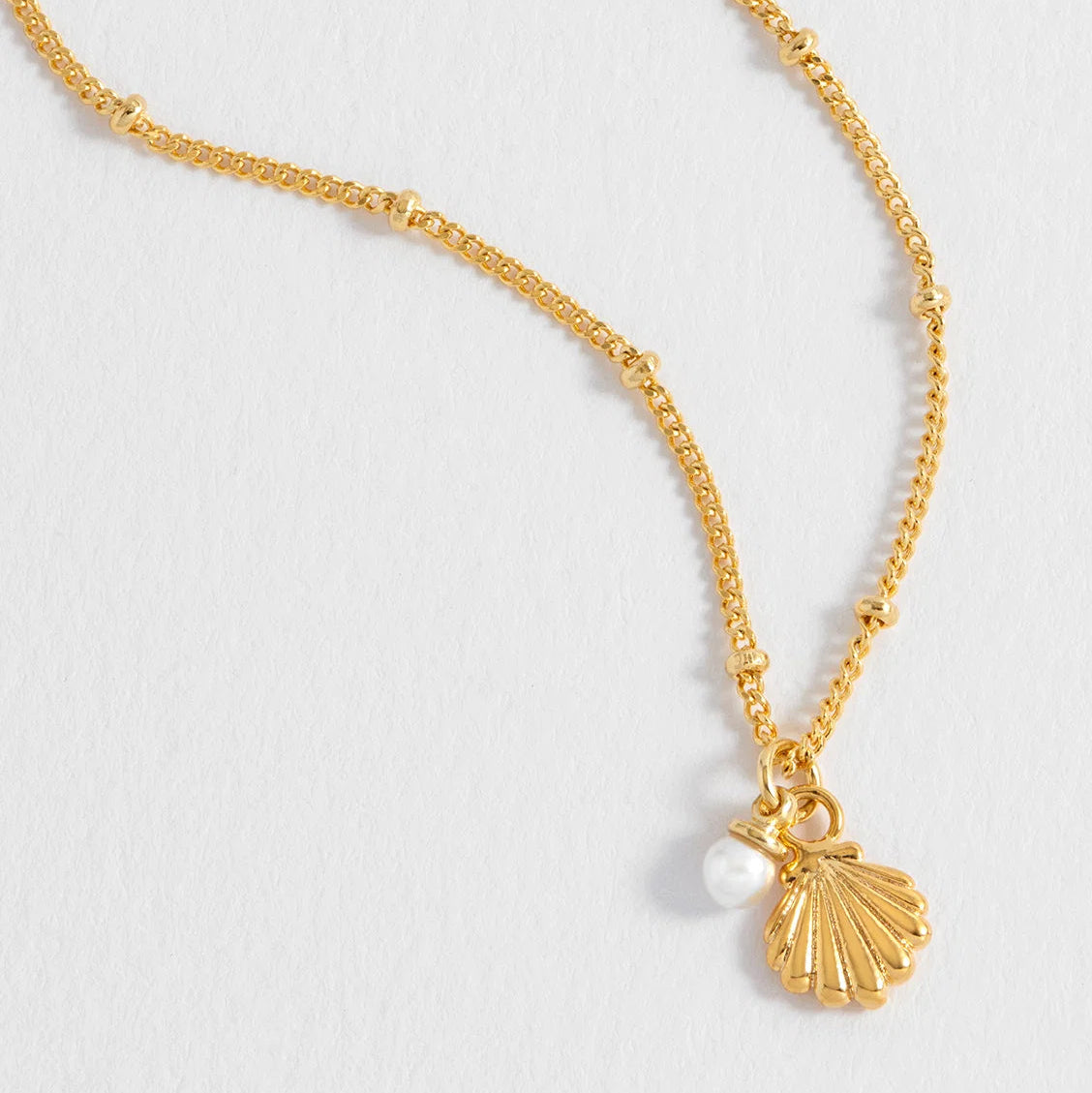 Gold necklace with a shell pendant on a light gray background