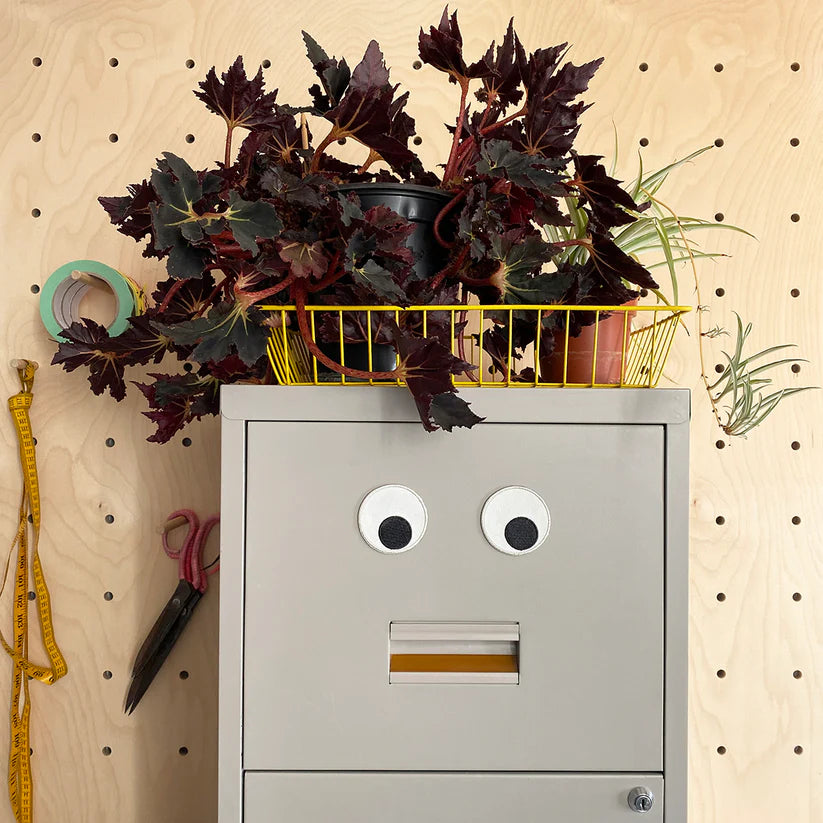 Novelty Magnets - Googly Eye