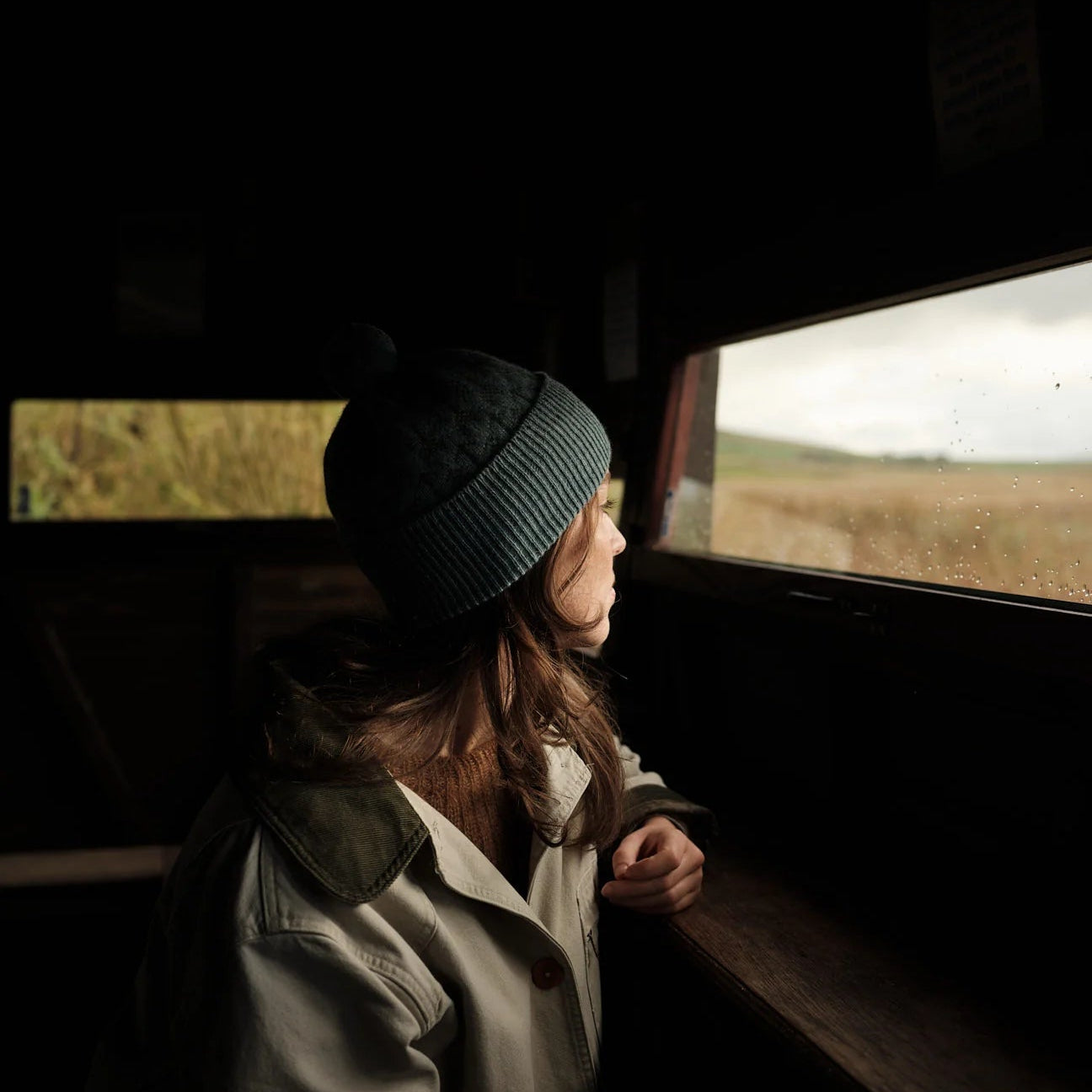 Person looking out of a car window at a scenic view