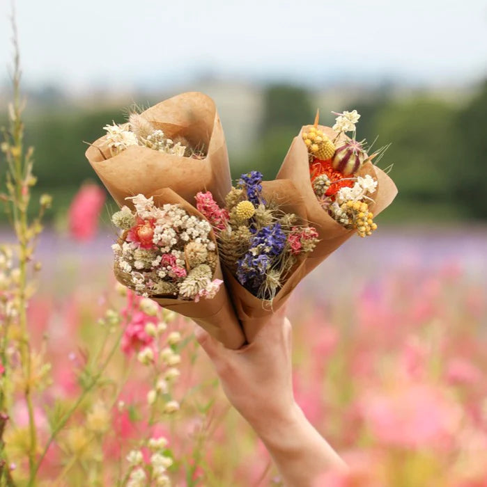 Three small bouquets of dried flowers, wrapped in brown paper cones.