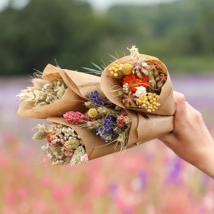 Three small bouquets of dried flowers, in kraft paper cones.  The flowers are various pastel colors and include grasses.