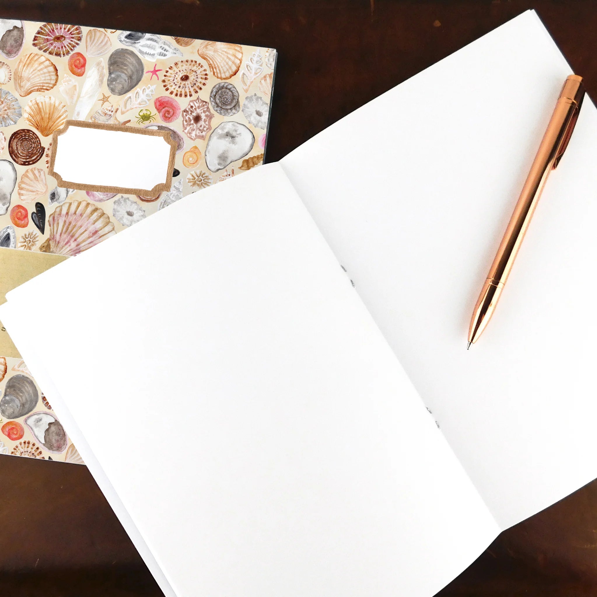 A5 Blank Notebook - Conchae Seashell