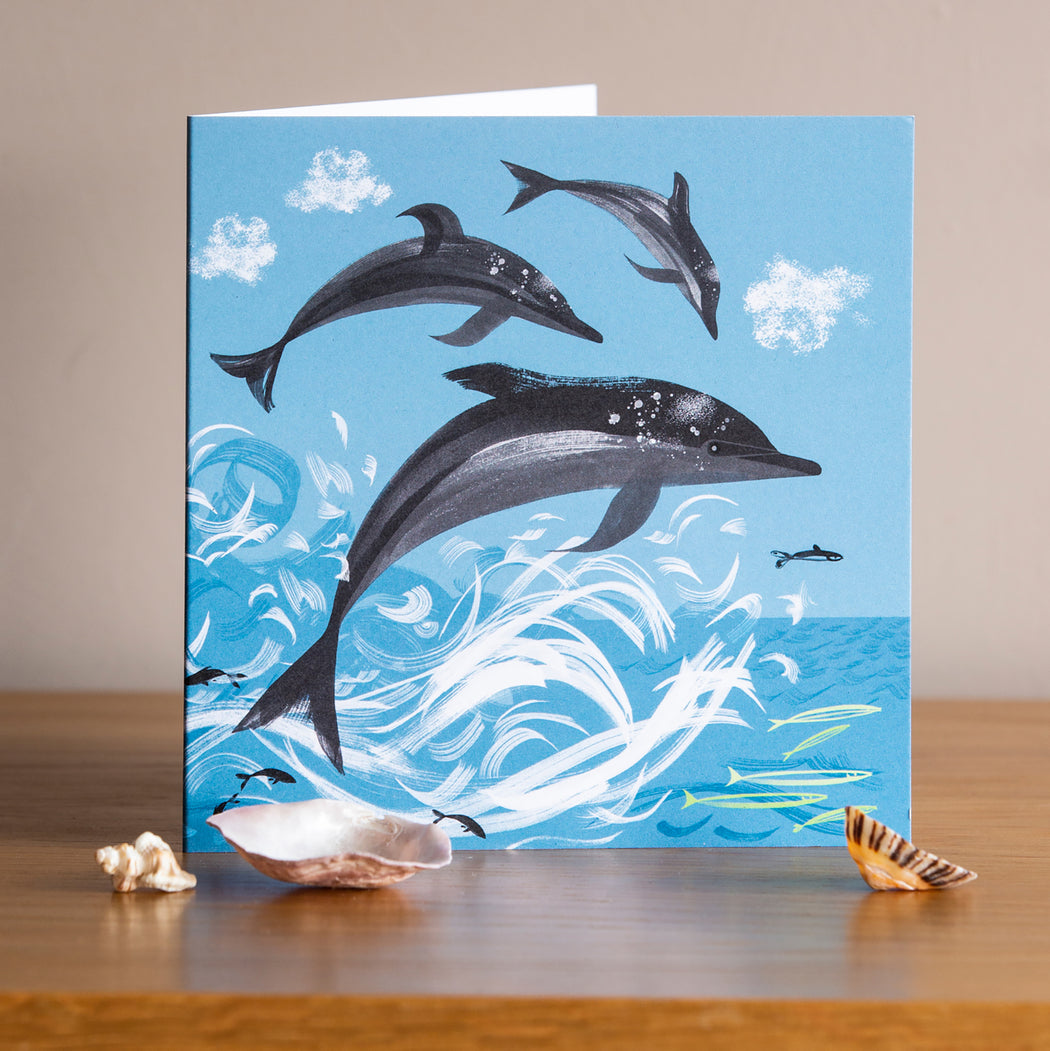 Sea Our Oceans - Dolphin Card – The Longship