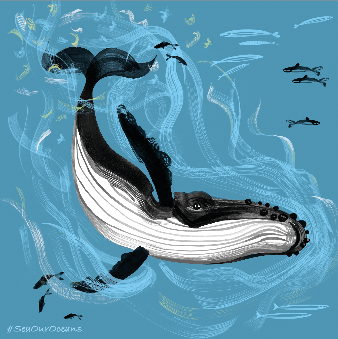 Sea Our Oceans - Humpback Whale Card