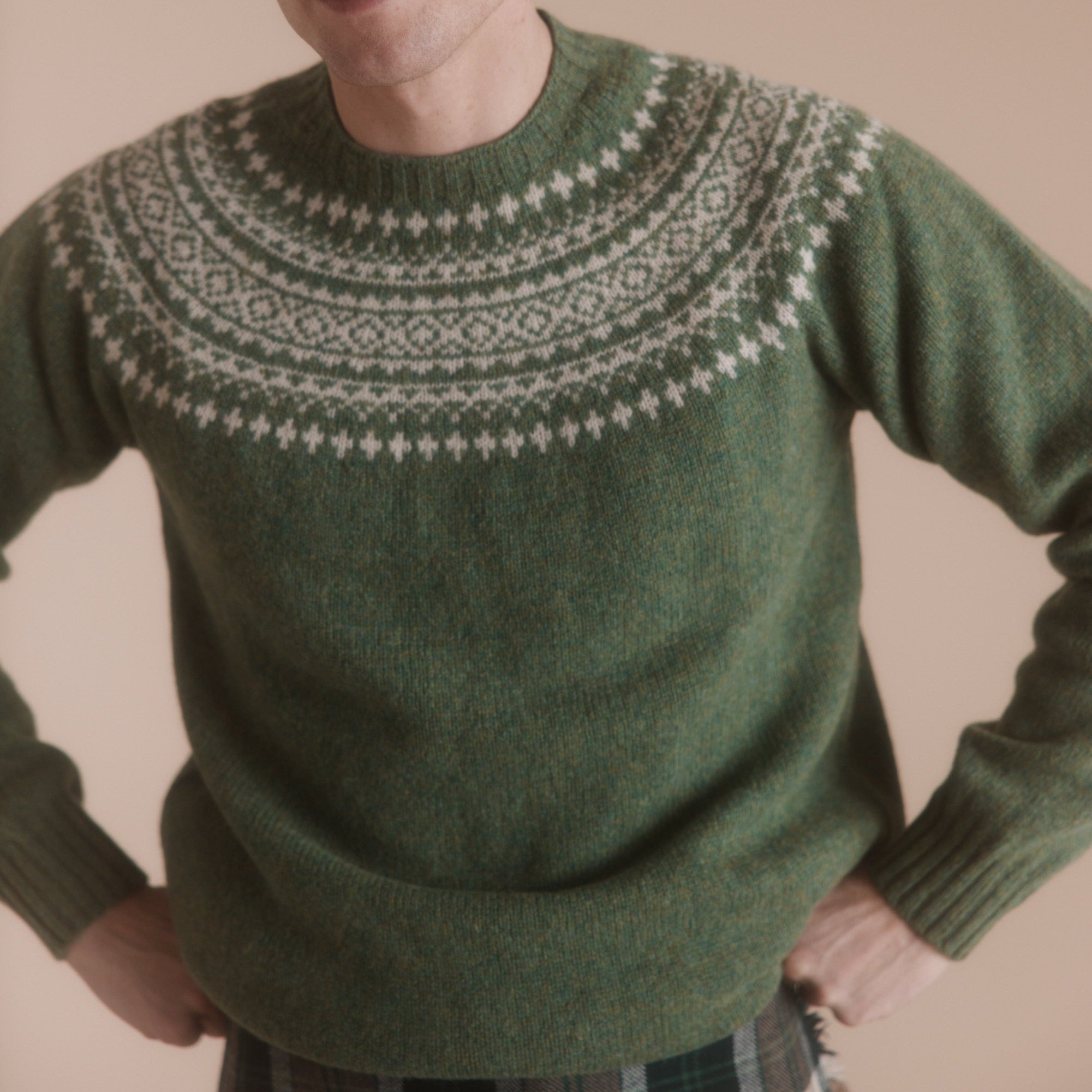 Green crewneck sweater with a Fair Isle-style yoke featuring a white and off-white pattern.