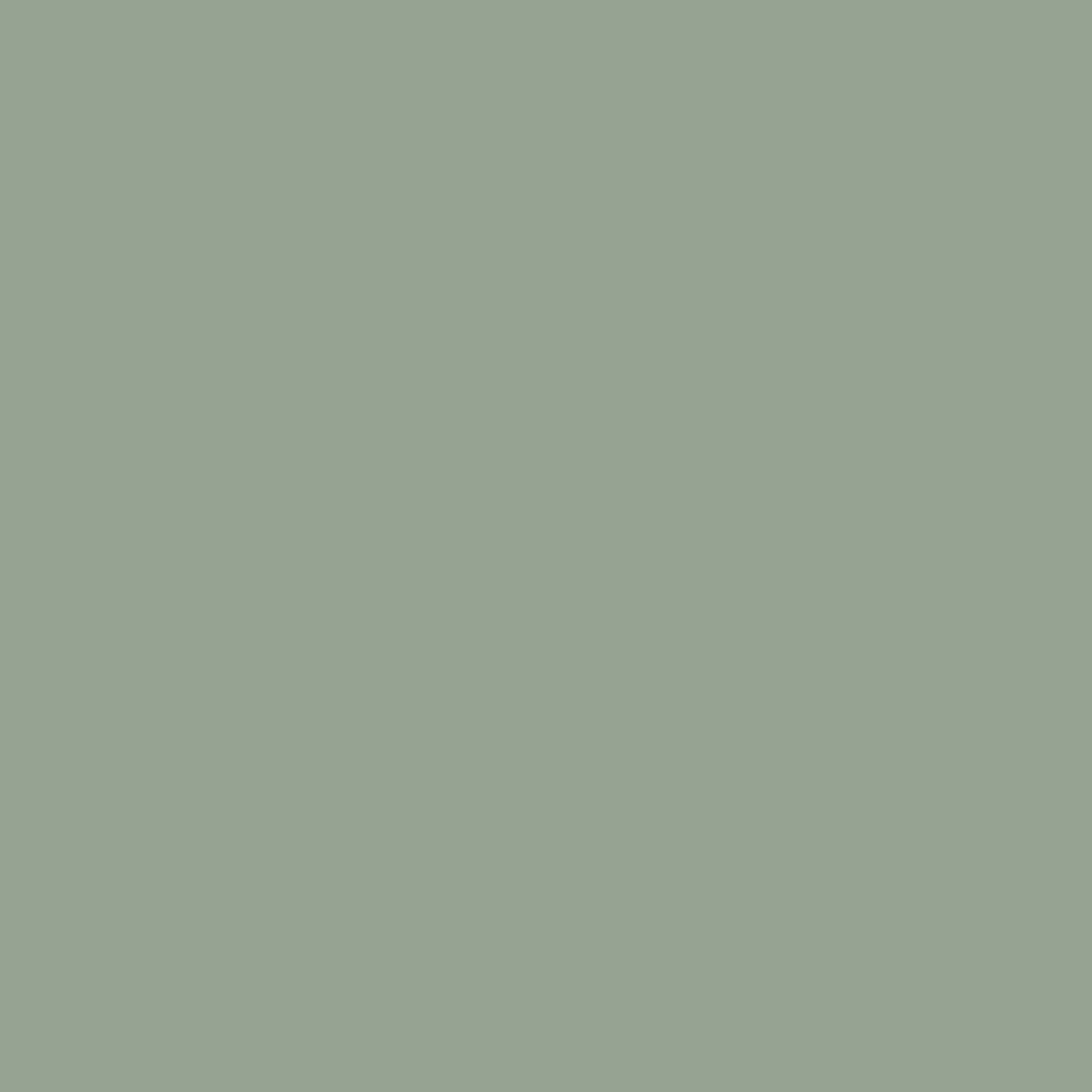 Solid sage green color swatch.