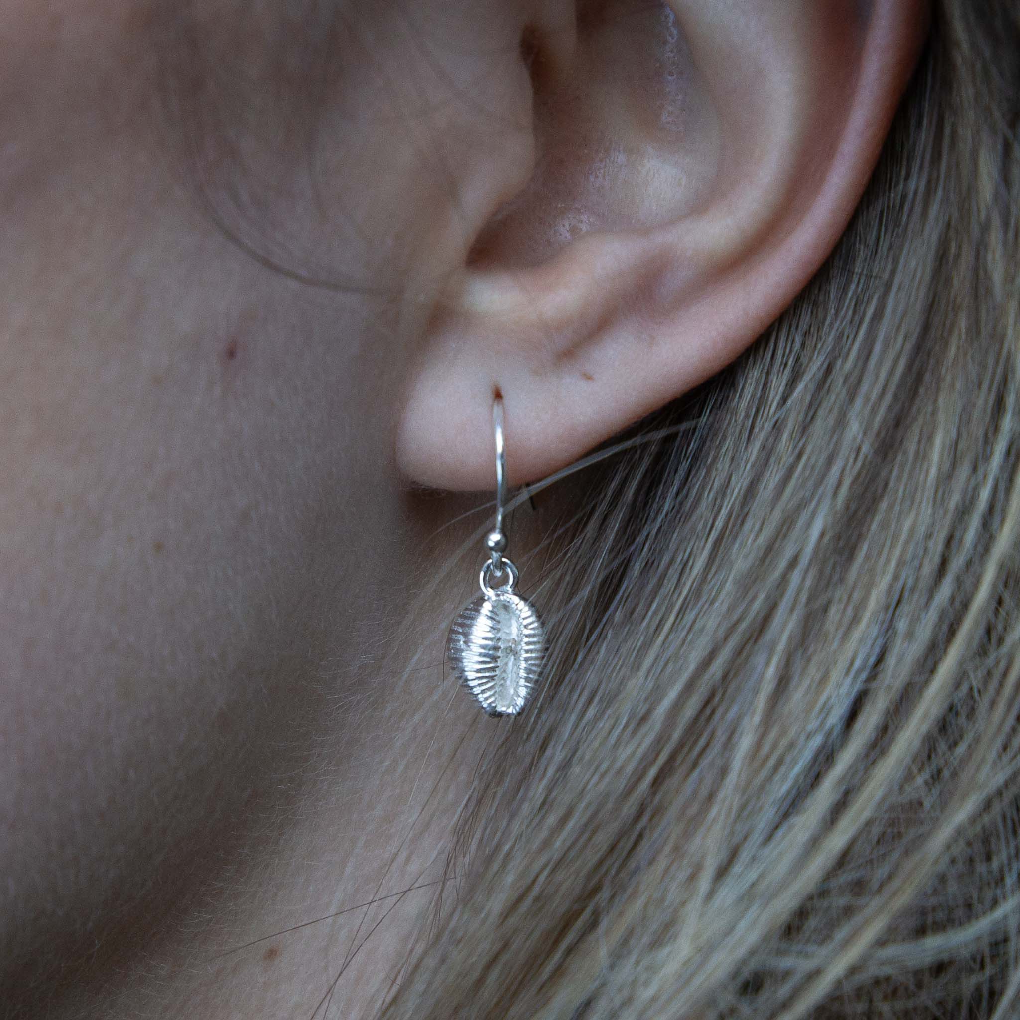 Silver shell-shaped drop earrings with a textured surface hanging from a thin silver hook.