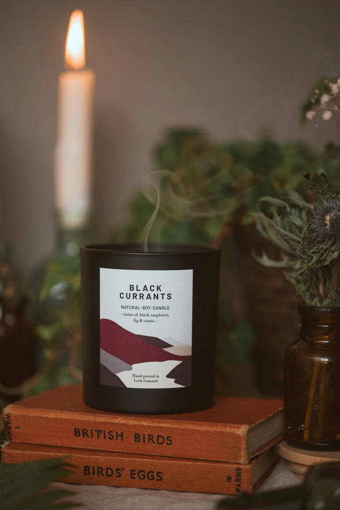 Black Currants natural soy candle in a black jar with a minimalist label; notes of black raspberry, fig & cassis.