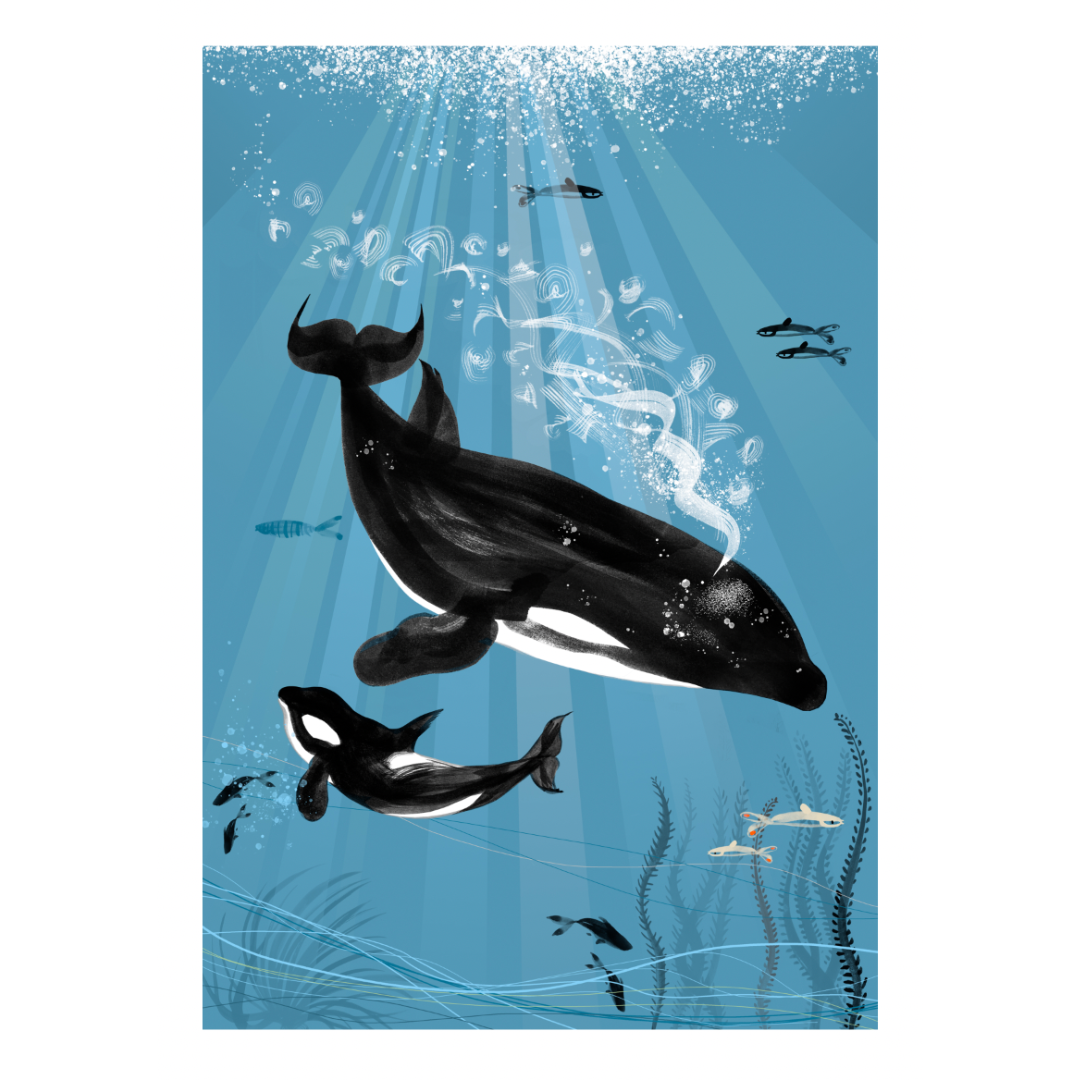Sea Our Oceans - A4 Print - Orca / Killer Whale