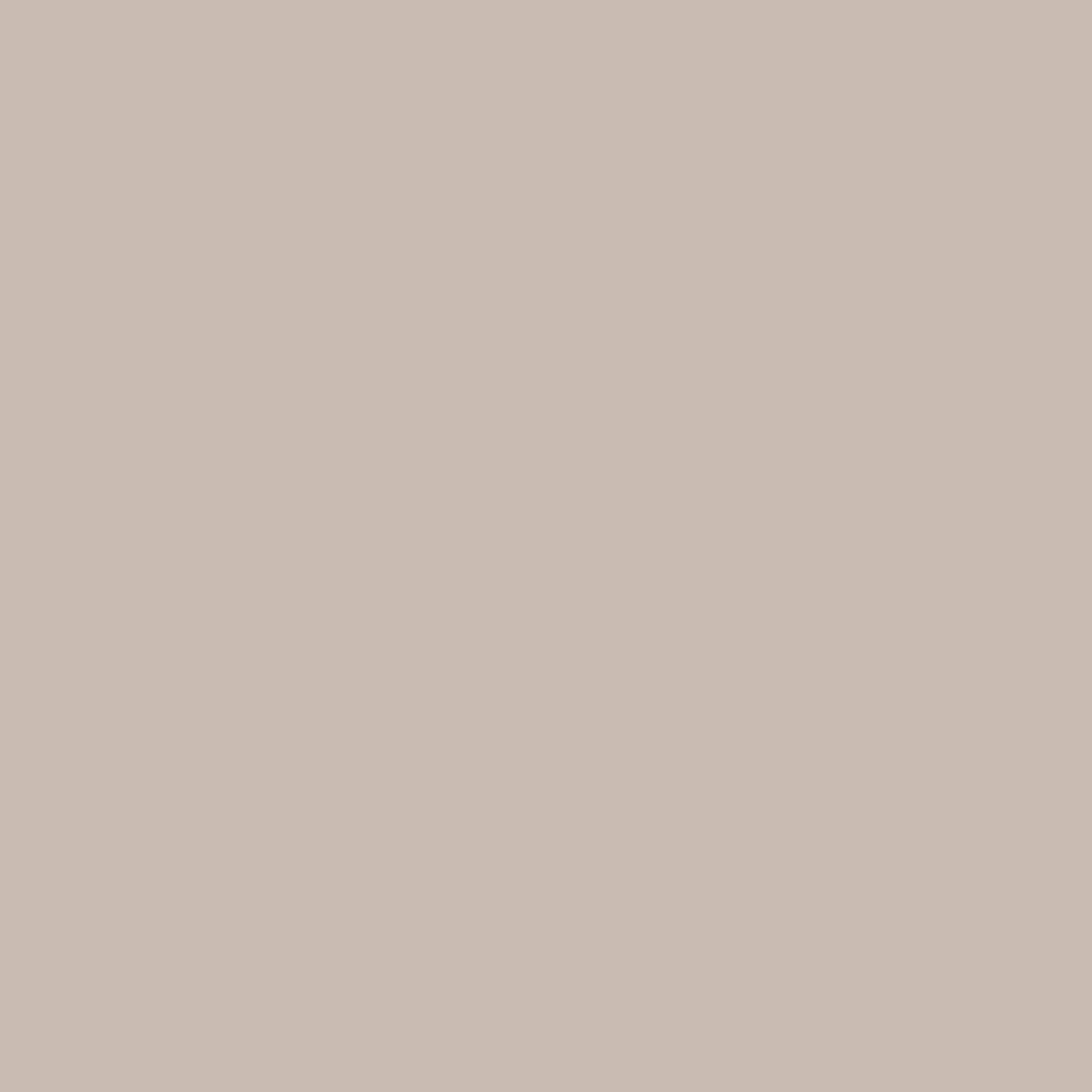 Solid light beige color swatch.