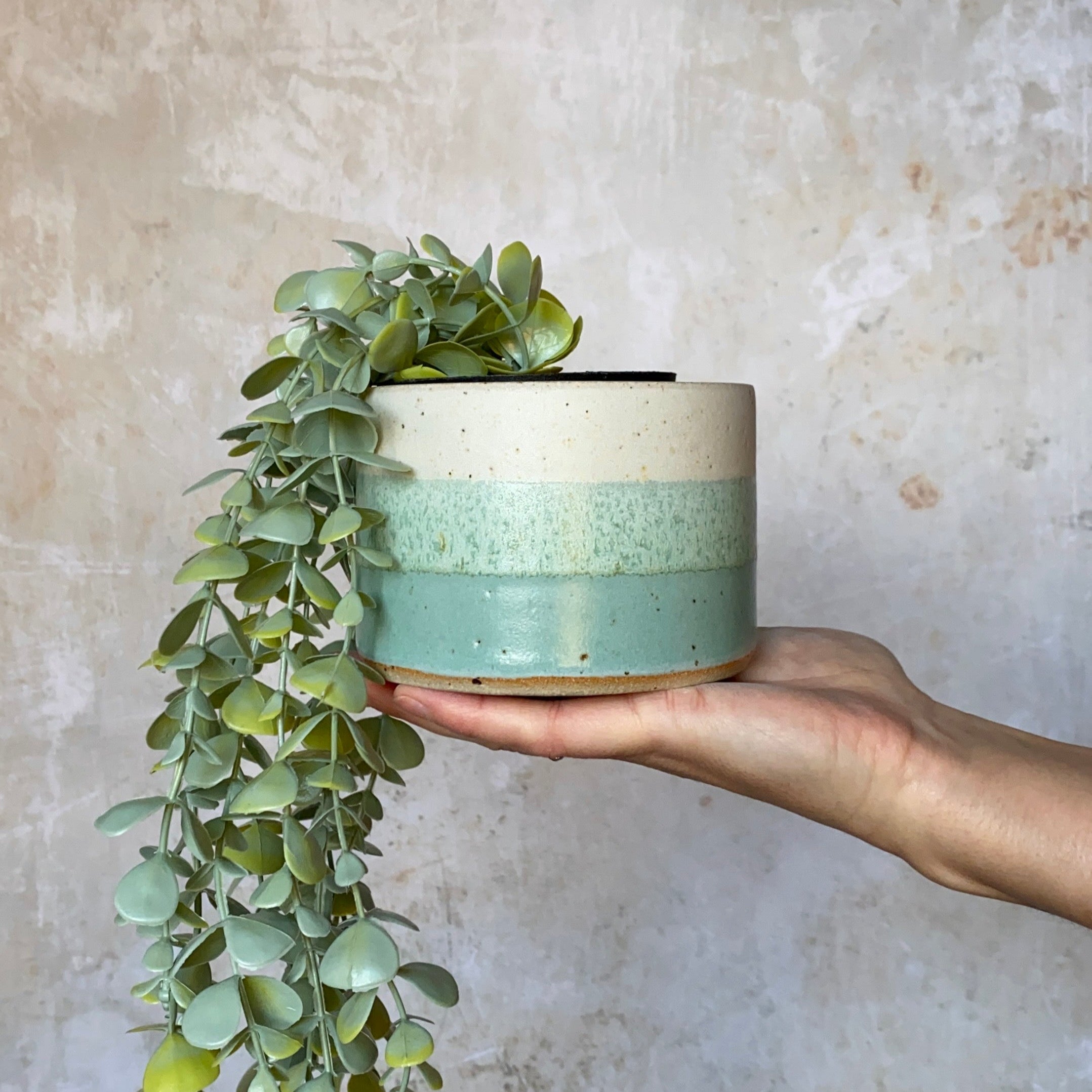 A cylindrical ceramic planter with off-white, light green, and darker green horizontal stripes, containing a small succulent