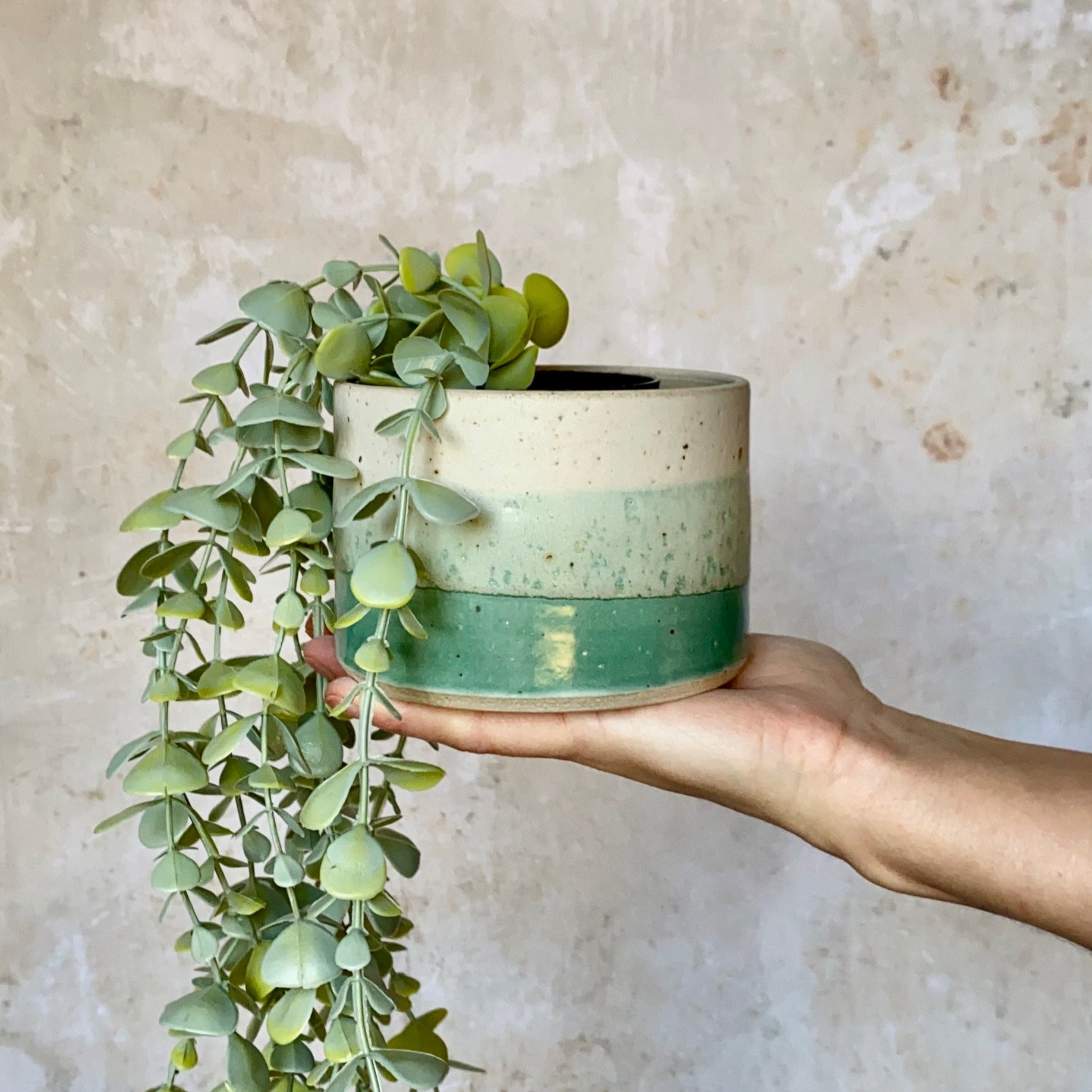 A cylindrical ceramic planter with a speckled off-white top, a light green middle, and a darker teal bottom.